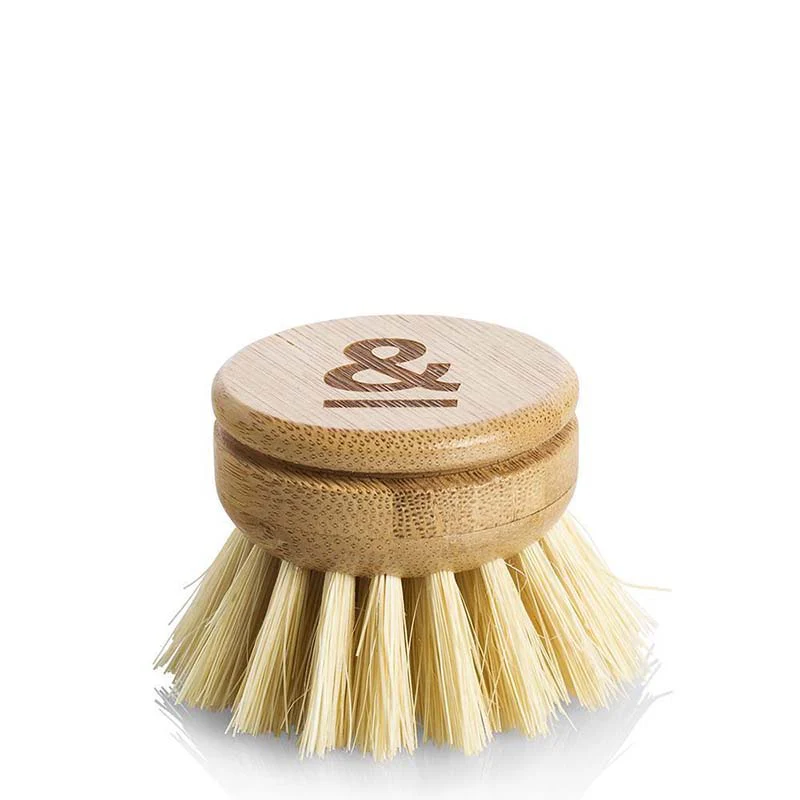 Seed & Sprout Dish Brush Replacement Heads - Image 2